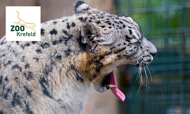 Zoo Krefeld Gutschein