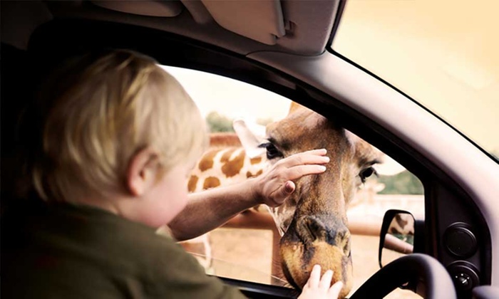 Safaripark Zoo Stukenbrock Gutschein