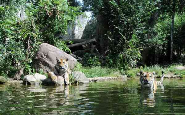 Zoo Leipzig Gutschein